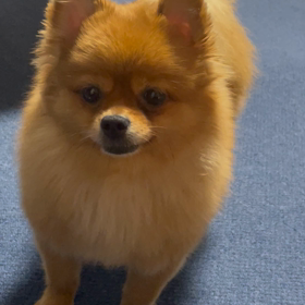 じつは、一緒に。の画像