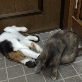 8月の思い出♪の画像