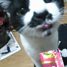 チャオちゅ～るの画像