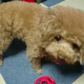 ねぇねぇの画像