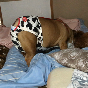 どうにかならんと？の画像