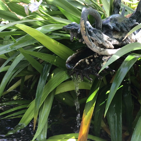 武田神社 名水 姫の井戸の画像