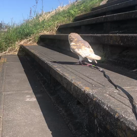 やっと。の画像