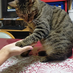 理屈じゃないのよ。の画像