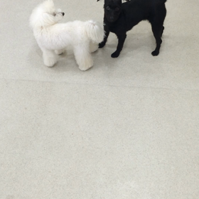 ♪プレイルーム動画♪の画像