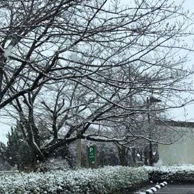 雪〜☃️❄️の画像