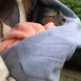 会ってきたよの画像