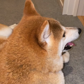 やられた〜（笑）の画像