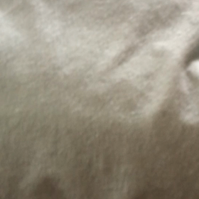 ペットと車で交通事故！　デールが全然起きて来ない…の画像