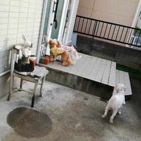 ♪おはよう♪の画像