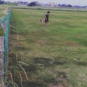 散歩風景の画像