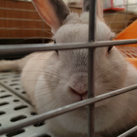 うっちゃん♪ハァハァ　7月20日の画像