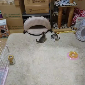 元気一杯の画像