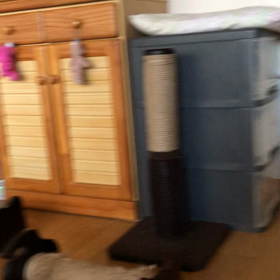 子育てやっと終了民には辛いお話。発情期マリーの叫び！の画像