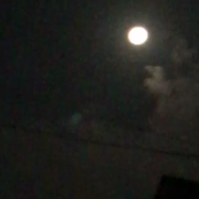 夫が動画撮ってきてくれた（笑）の画像