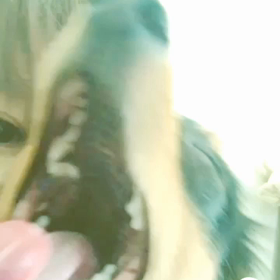 キャベツの画像