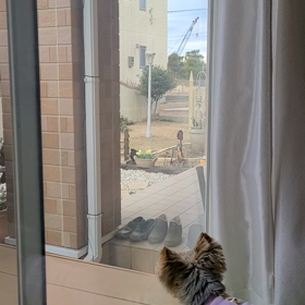 なんだアイツは！の画像