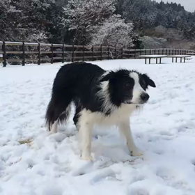 フィリップの画像