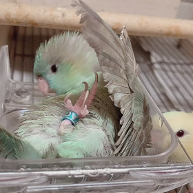 バスタイムの画像