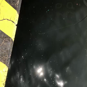 人生奇跡の連続‼️の画像
