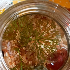 メダカちゃん～♪ご飯(*Ü*)と、激痛…の画像