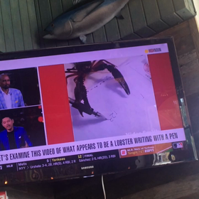 こんな天才生物見たことない！の画像