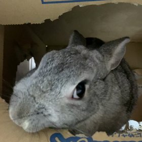 見てね〜♡の画像