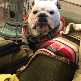 初めて鳴いた一徹さんの画像