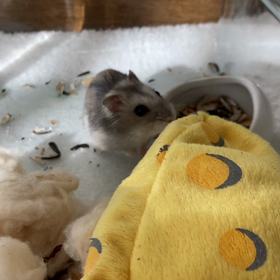 どこから〜の画像