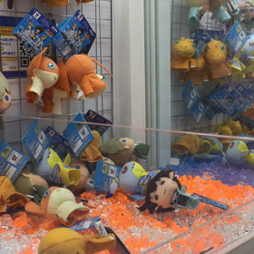 頼りない翼でもきっと飛べるさの画像