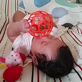 オーボール【成長3ヵ月108日目】の画像