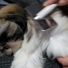 好きにしての画像