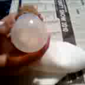 仔にゃんこのミルク飲みの画像