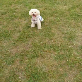 自由に…の画像