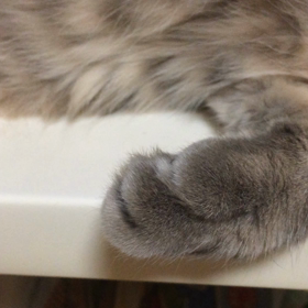 何してんのかなの画像