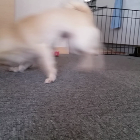 旬のものの画像