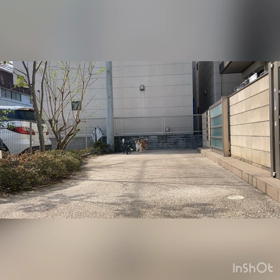 まめ君、帰宅♪の画像