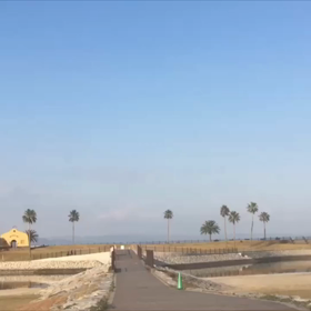 夏じゃないよ、12月だよー( ◠‿◠ )の画像