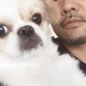 クムTHE MOVEIの画像