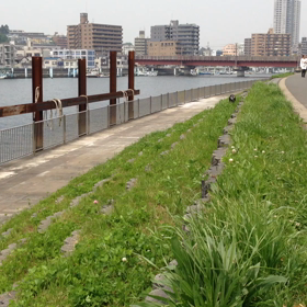 ５月のお散歩・・・（≧∇≦）の画像