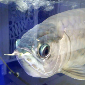  またまたお見舞いの画像