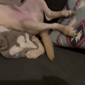 今日寝るのがいつもより早かったの画像