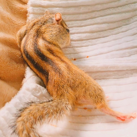 ひなたぼっこ♪の画像