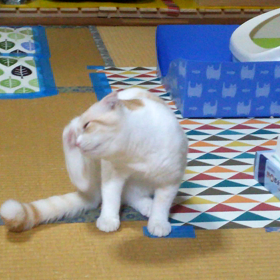 またもや台風ですなの画像