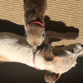 マッサージwwの画像