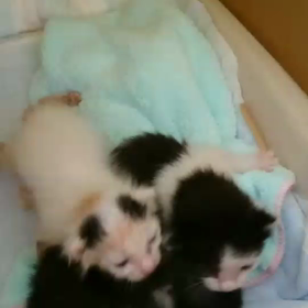 スクスク育ってますの画像