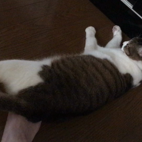 怒られた~の画像