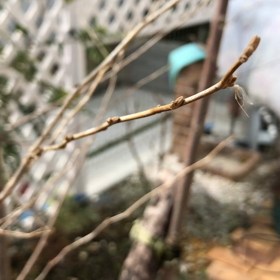 私の新発見！の画像