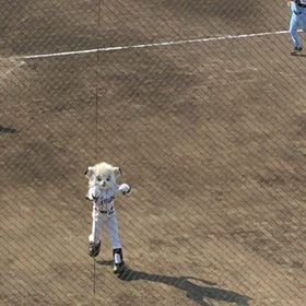 ライナちゃんの画像