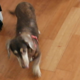 可愛いねの画像